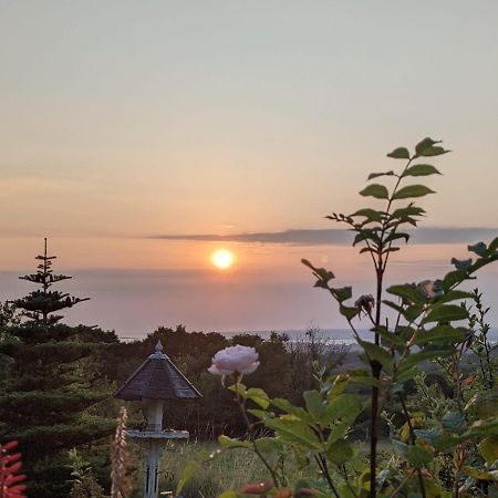 Hafoty Farm Cottages Caernarfon Ngoại thất bức ảnh
