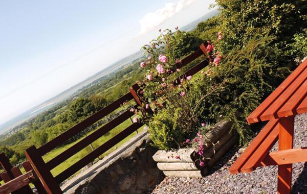 Hafoty Farm Cottages Caernarfon Ngoại thất bức ảnh
